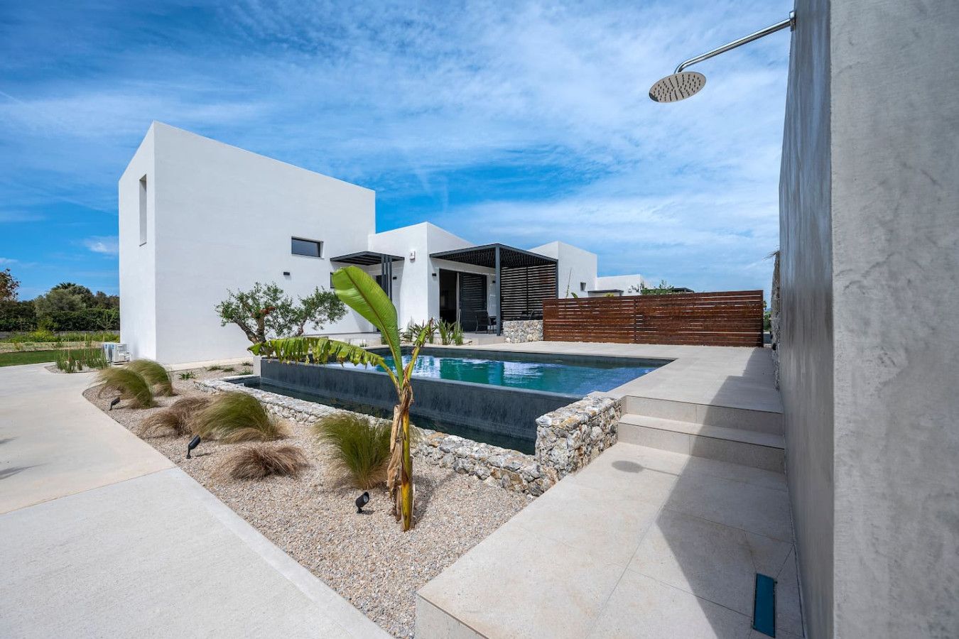 A modern house with a swimming pool, a patio, and a garden with plants and a bird.