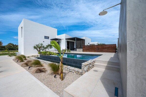 A modern house with a swimming pool, a patio, and a garden with plants and a bird.