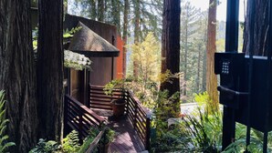 A wooden staircase leading to a covered area with a thatched roof, surrounded by tall trees and lush greenery. - Palazzo Marzino ~ An Italian Inspired Villa ~ 3 Bed ~ 3 Bath ~ Pool ~ Hot Tub ~ (Guerneville)