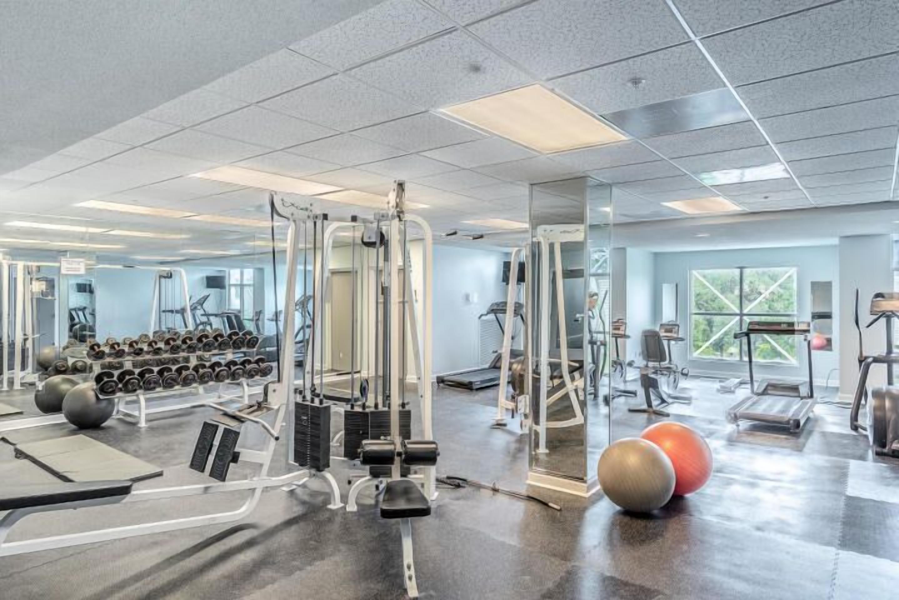 A gym with cardio machines, free weights, and exercise balls.