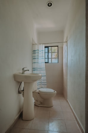 Douche, serviettes fournies, papier toilette