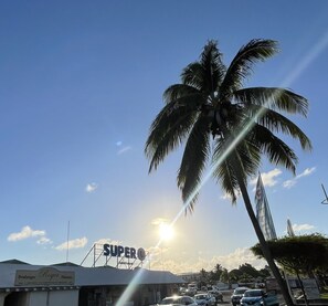 Stroll through the tropical landscape, surrounded by swaying palm trees and a simple, functional building in the distance.
