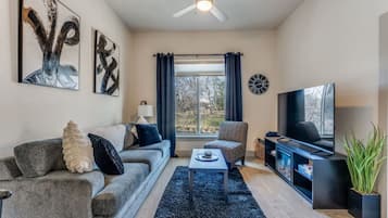 TV, fireplace, video games, DVD player