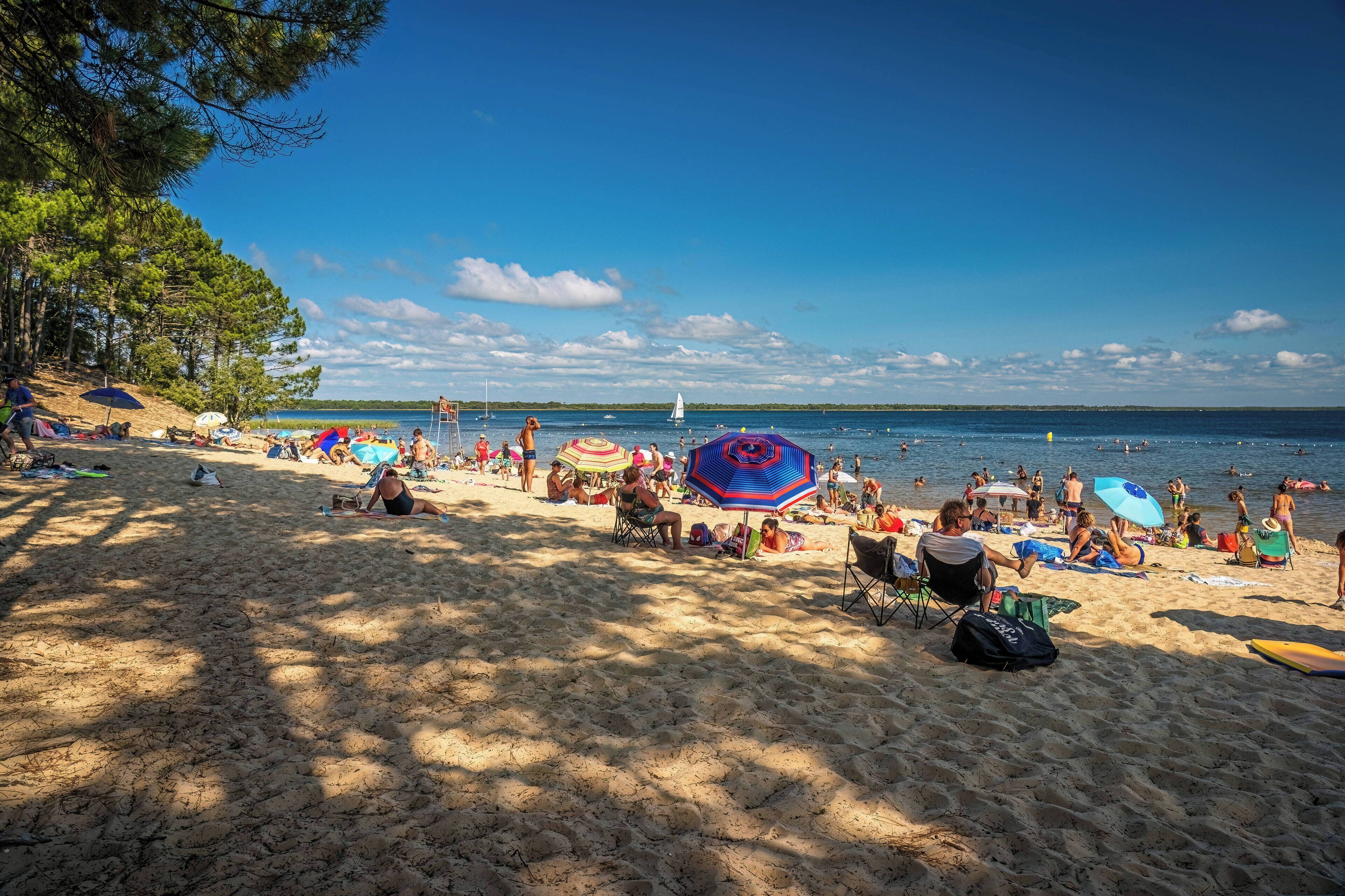 A beach with people sunbathing and swimming, tents, and umbrellas.