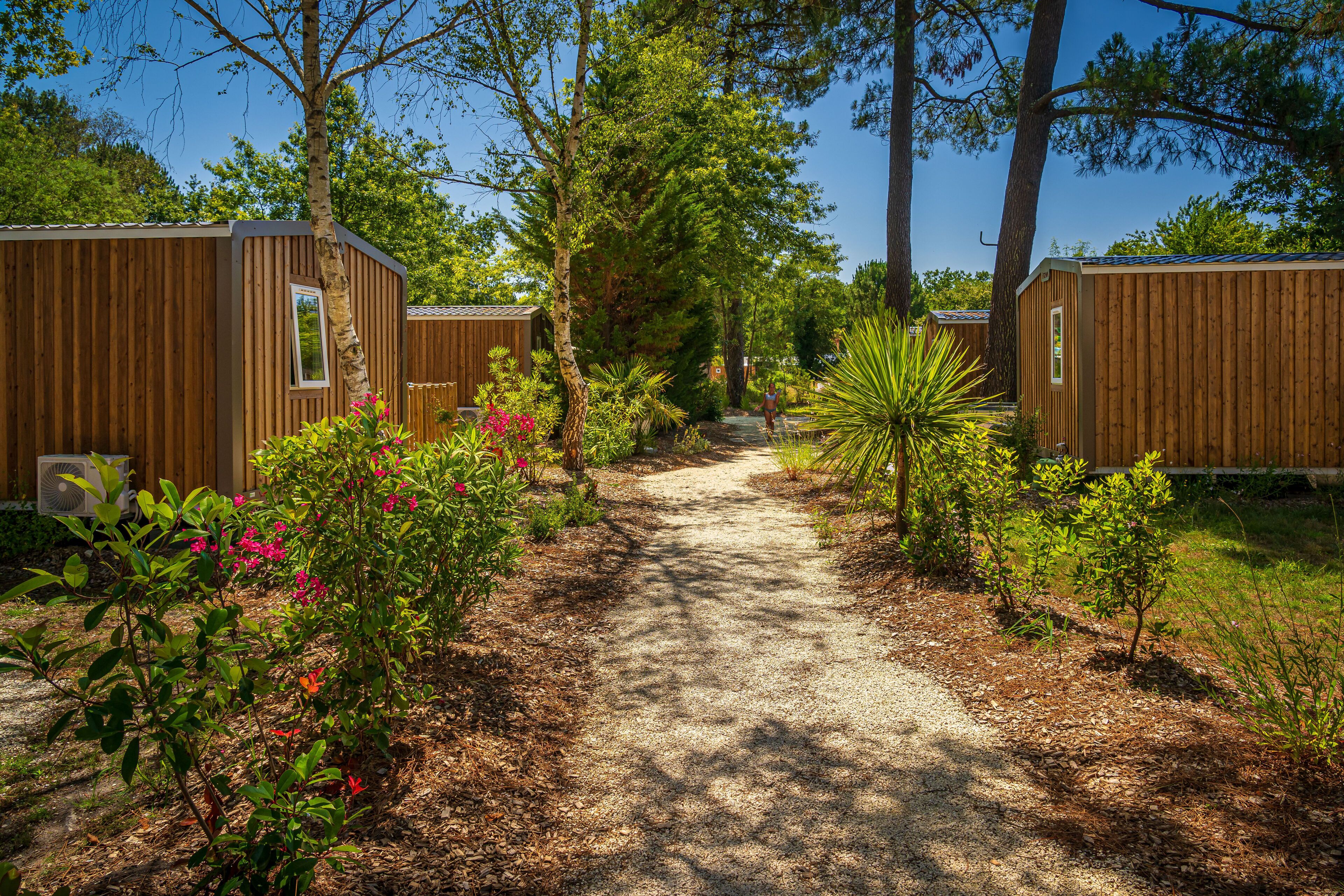 Un sendero conduce a cabañas de madera rodeadas de exuberante follaje y plantas en flor.