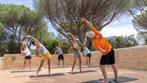 Un grupo de personas haciendo yoga al aire libre sobre esterillas.