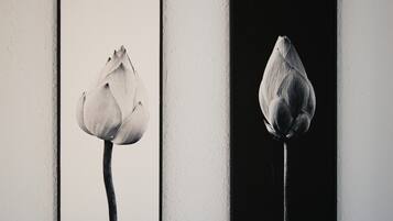 Two framed photographs of a budded flower against a wall.
