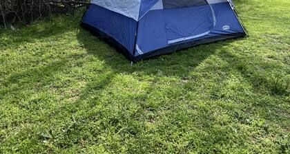 Eclipse Camping on Peaceful Mini Farm F1