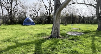 Eclipse Camping on Peaceful Mini Farm F1