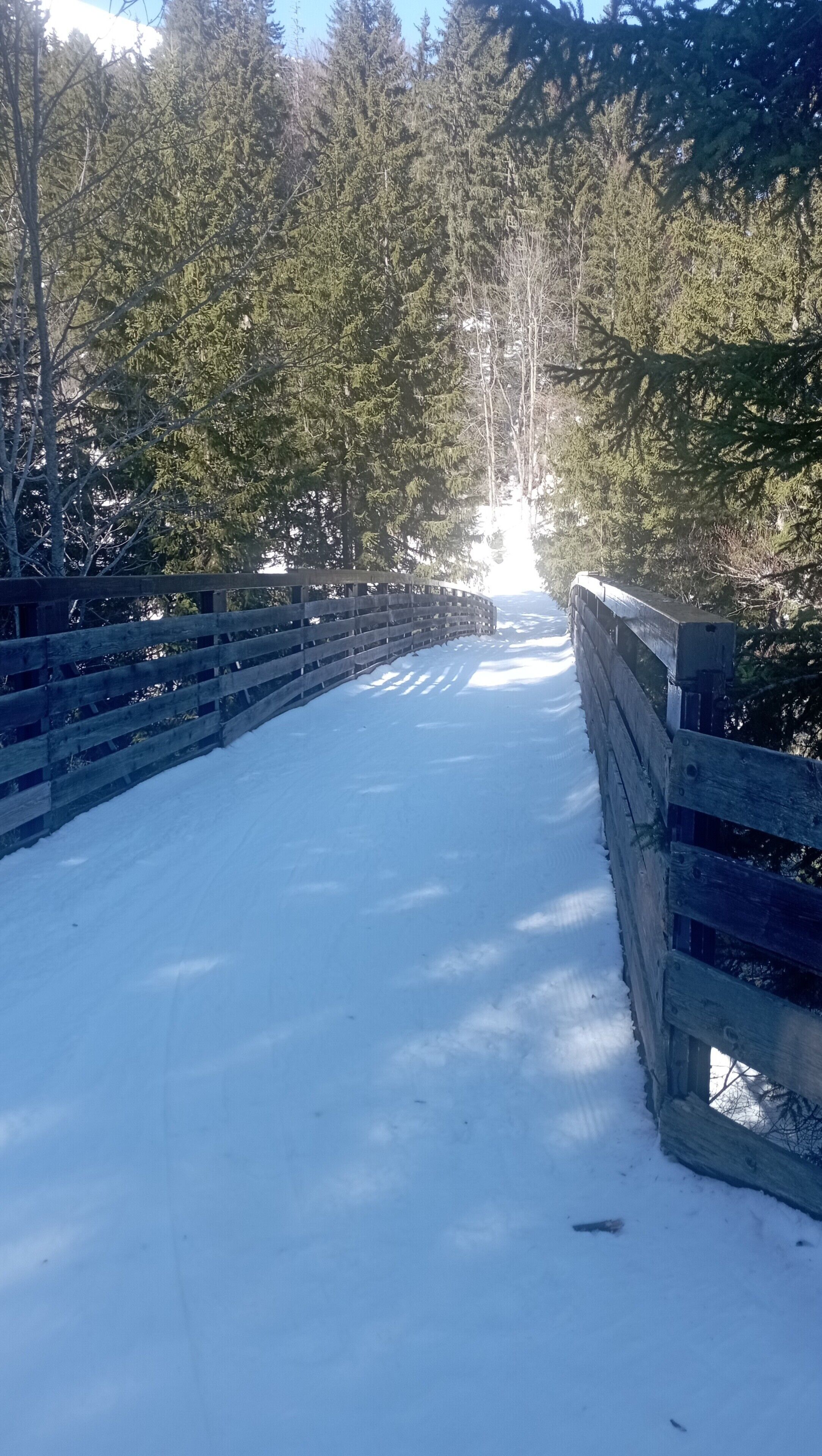 Un pont en bois recouvert de neige, entouré d’arbres.