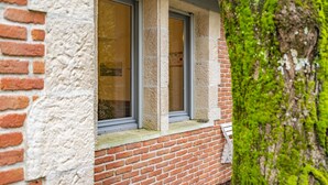 Un bâtiment en briques avec une fenêtre et un arbre recouvert de mousse.