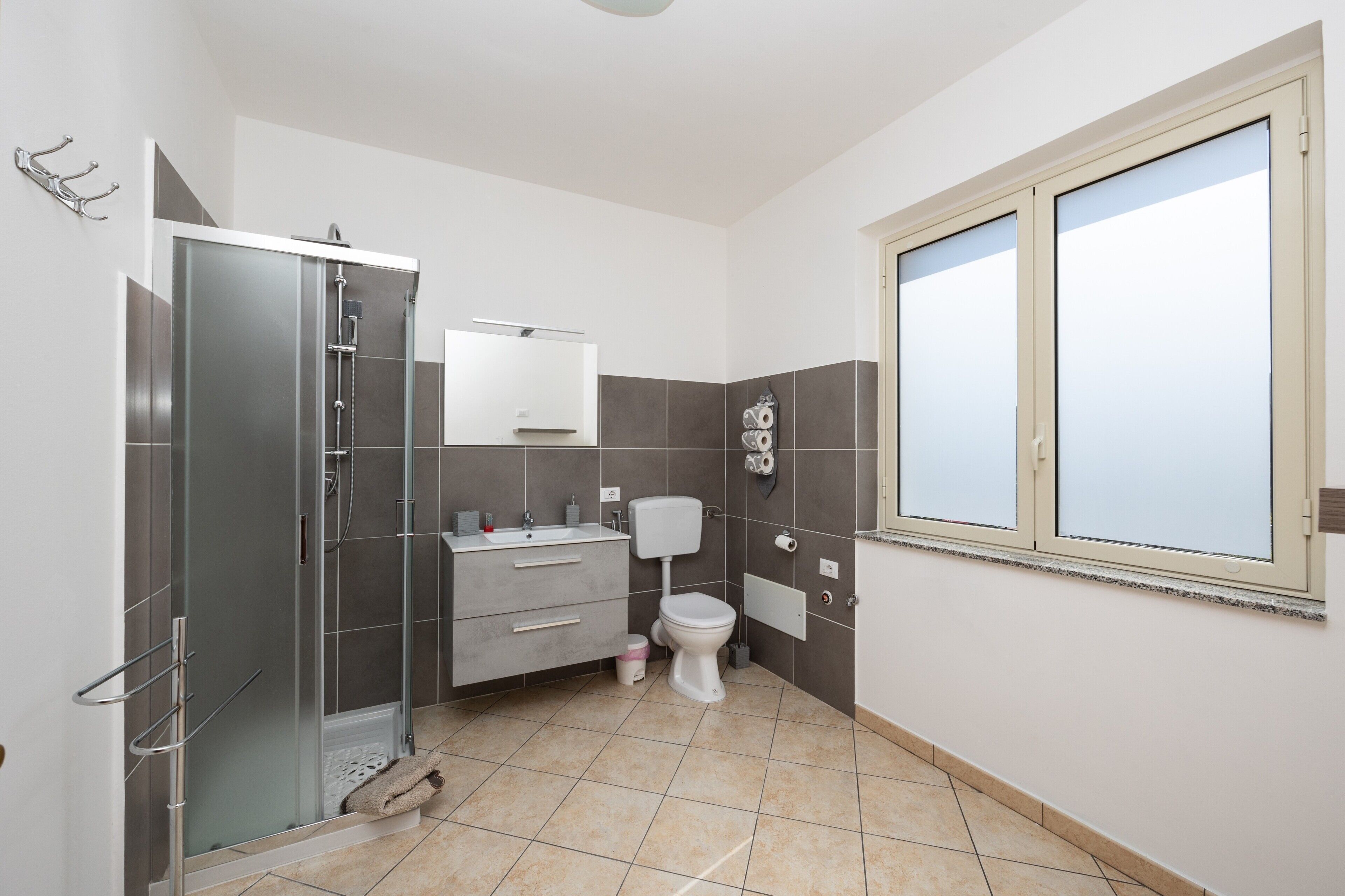 Shower, hair dryer, towels