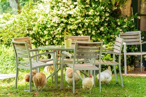 Outdoor dining - Cottage 'Ostau Flor' with Shared Pool, Private Terrace and Wi-Fi (Panjas)