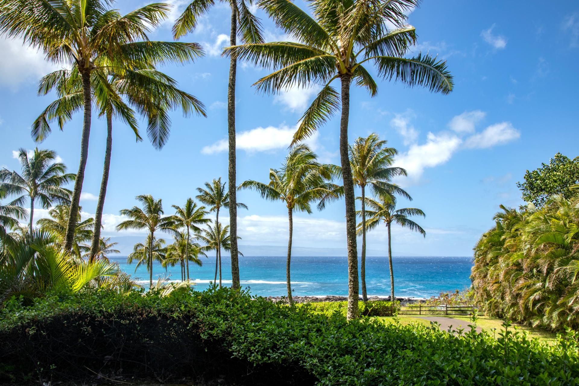 Una playa tropical con palmeras y una vista despejada del océano.