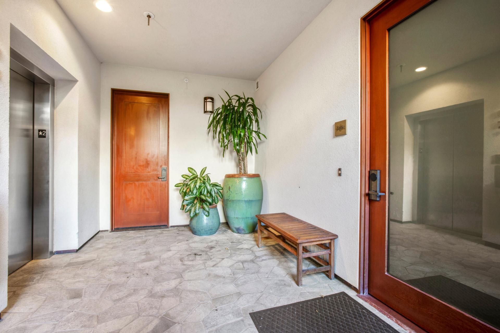 Your adventure begins at this cheerful doorway—where polished wood, plants, and soft light whisper 'welcome home.'    
