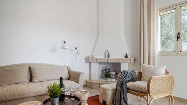 A living room with a sofa, a coffee table with a plant and wine glasses, a fireplace, and a window with curtains.