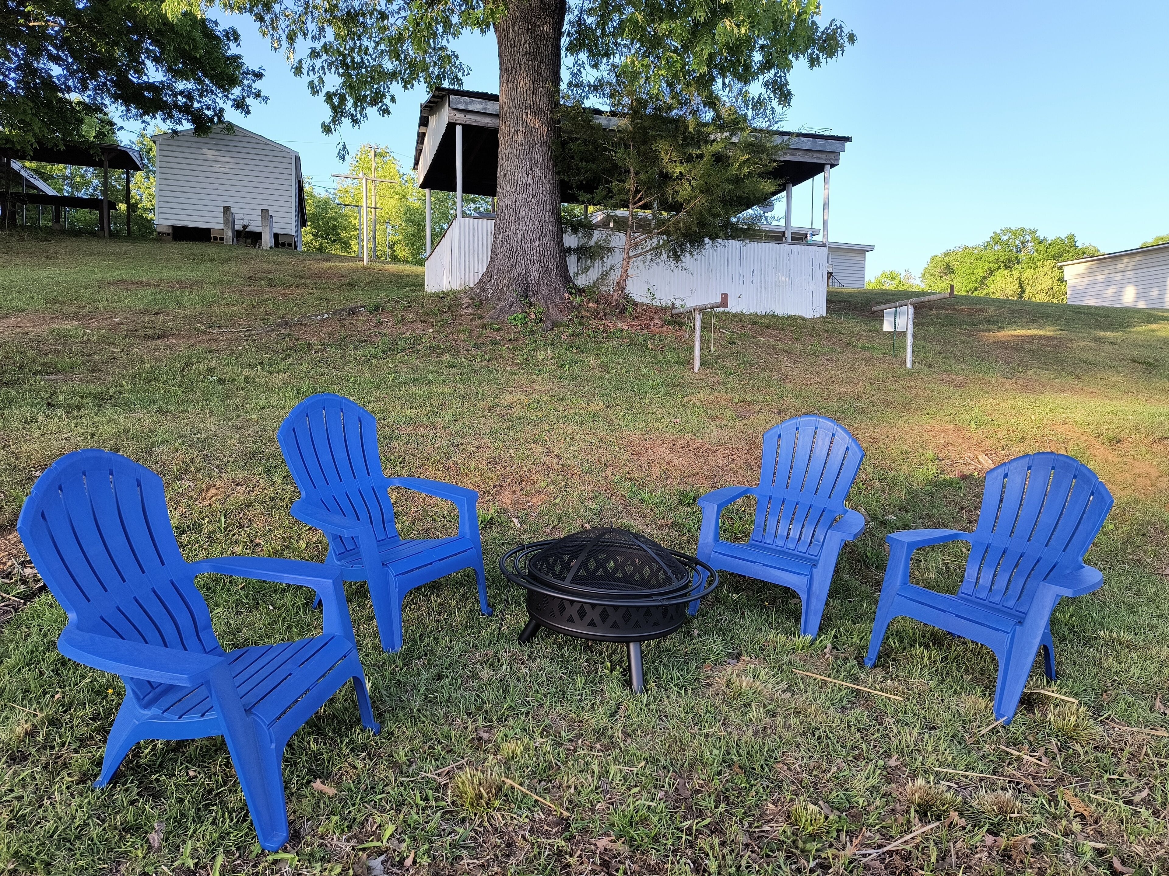 Four blue Adirondack chairs arranged around a black fire pit in a grassy outdoor area with a tree and a small shed in the background.