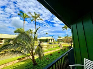 Property grounds - Lagoon View Resort Retreat (Lihue)
