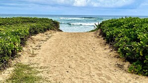 A sandy beach path leading to the ocean, flanked by dense green vegetation. - Lagoon View Resort Retreat (Lihue)