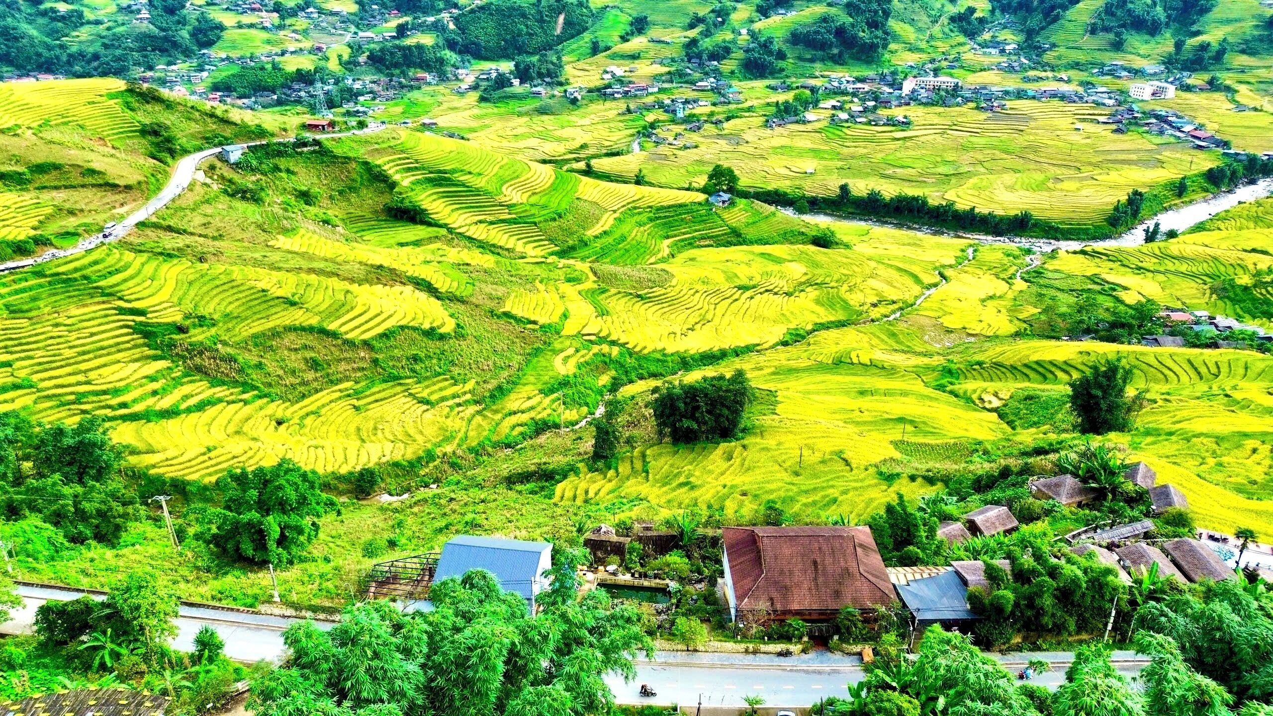 Paesaggio rurale con campi a terrazza e case sparse.