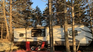Een Forest River Wildwood caravan geparkeerd in een bebost gebied, met een rode zeil op de grond.