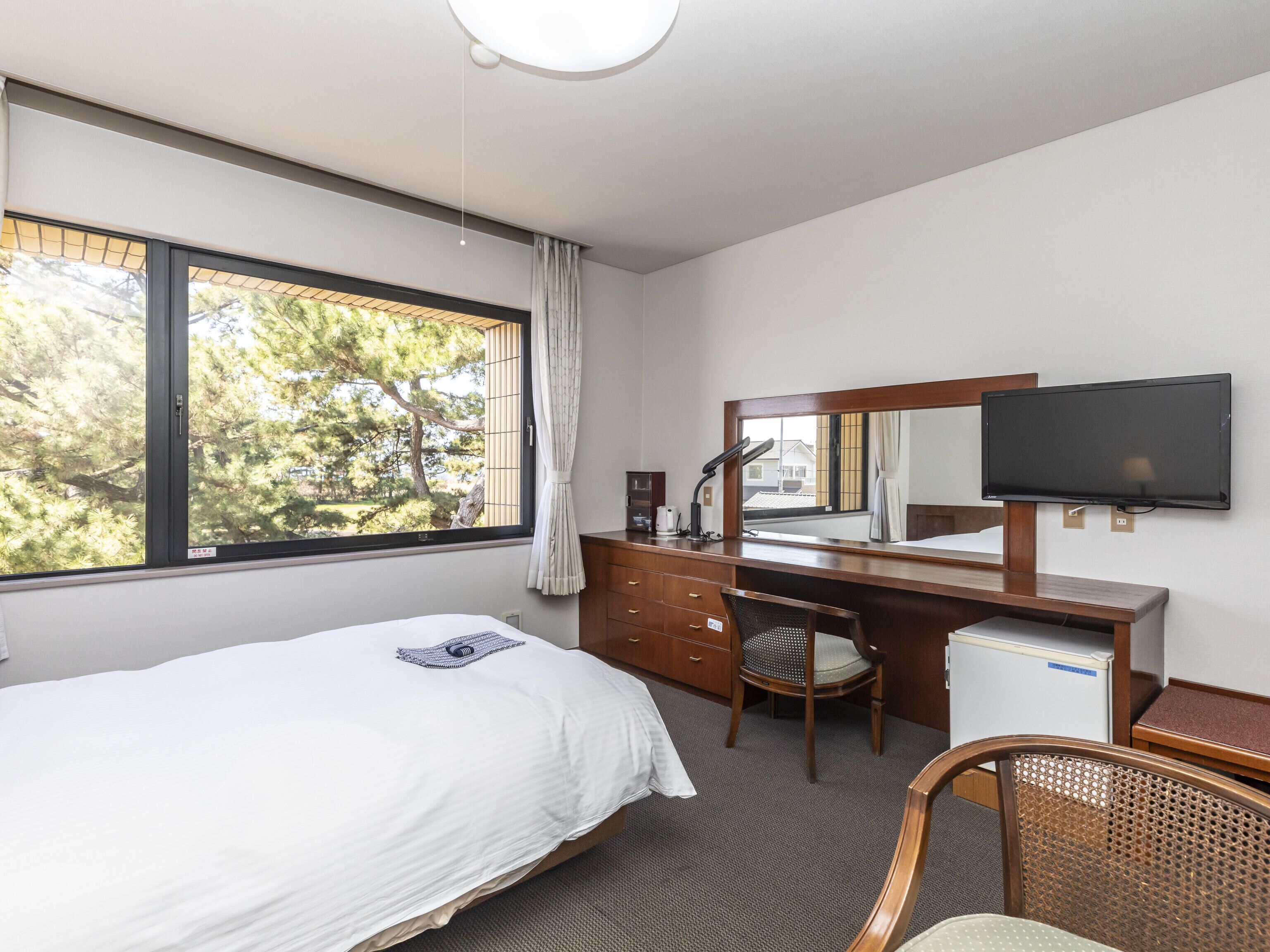 Habitación de hotel con cama, escritorio con silla, televisor y ventana con vista a árboles.