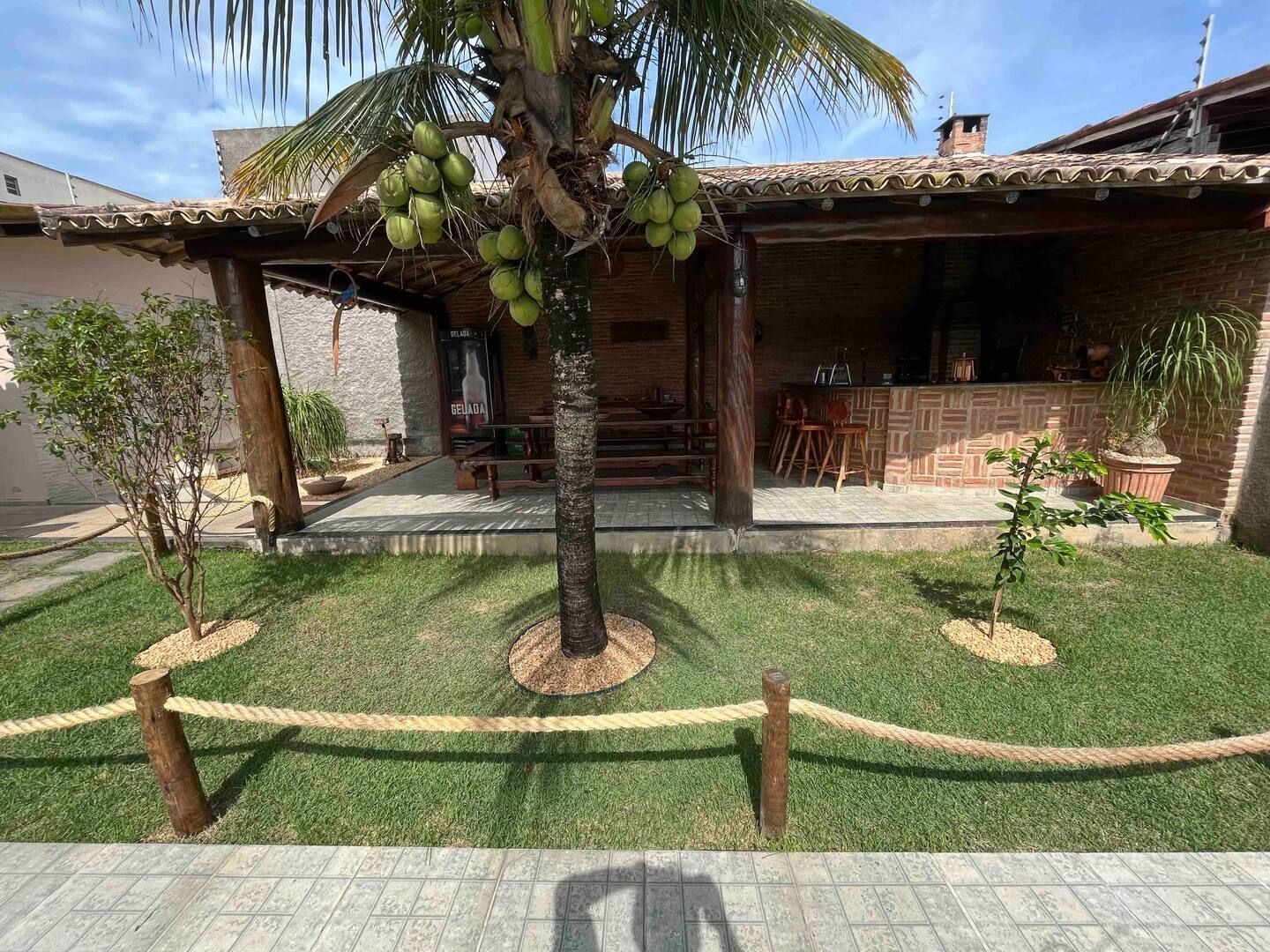 Un patio con una palmera, un pequeño jardín y un edificio de ladrillo con techo de tejas.