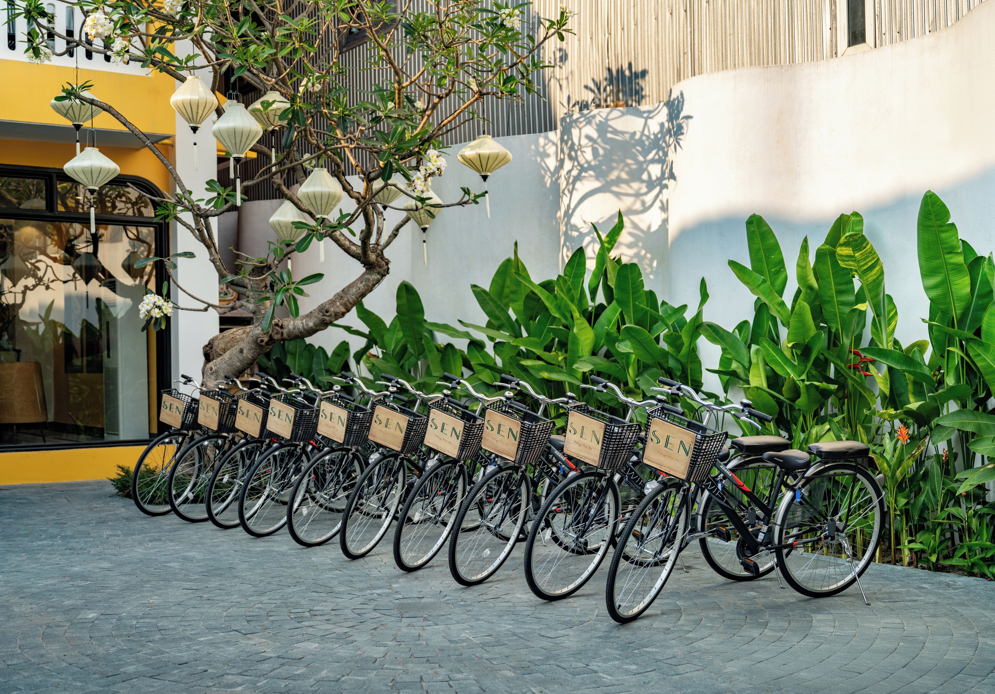 A row of bicycles with baskets labeled "SEN" parked against a wall with greenery and a building in the background.