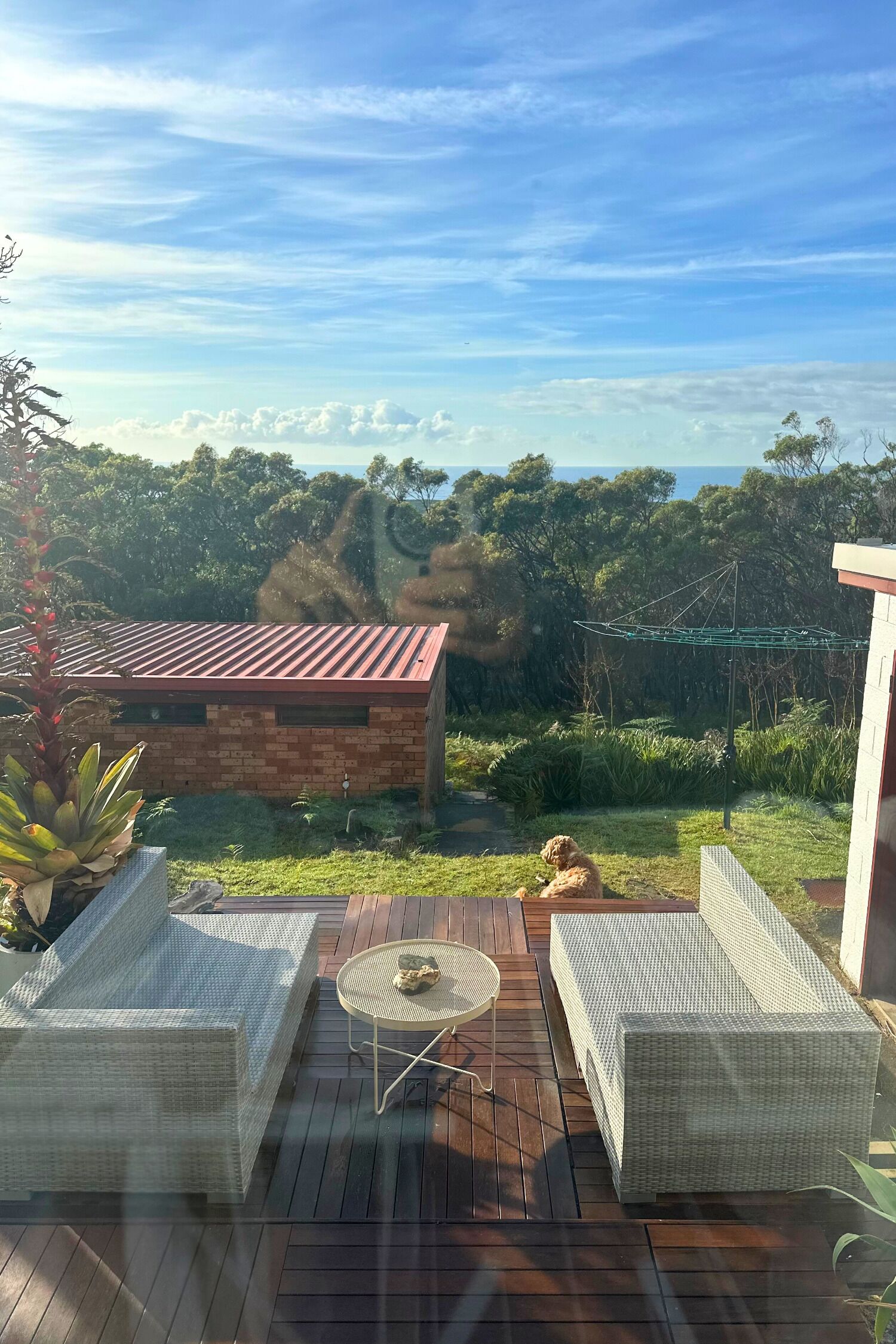 Ocean views from the house and garden