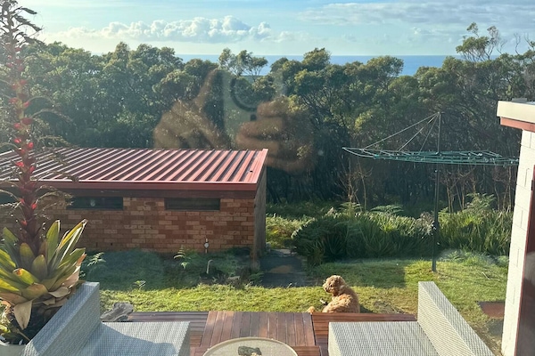 Ocean views from the house and garden