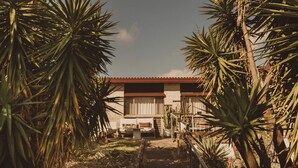 A house with a red roof, surrounded by palm trees, and a small patio area with a table and chairs.