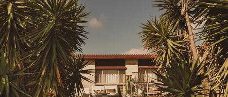 A house with a red roof, surrounded by palm trees, and a small patio area with a table and chairs.