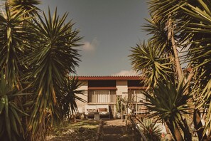 Una casa amb teulada vermella, envoltada de palmeres, i un petit pati amb taula i cadires.