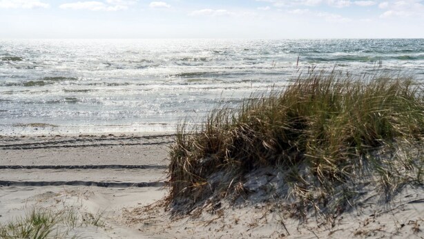En strand med sanddyner och havet.