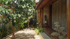 A pathway leading to a wooden door, surrounded by various plants and a stone-tiled area.