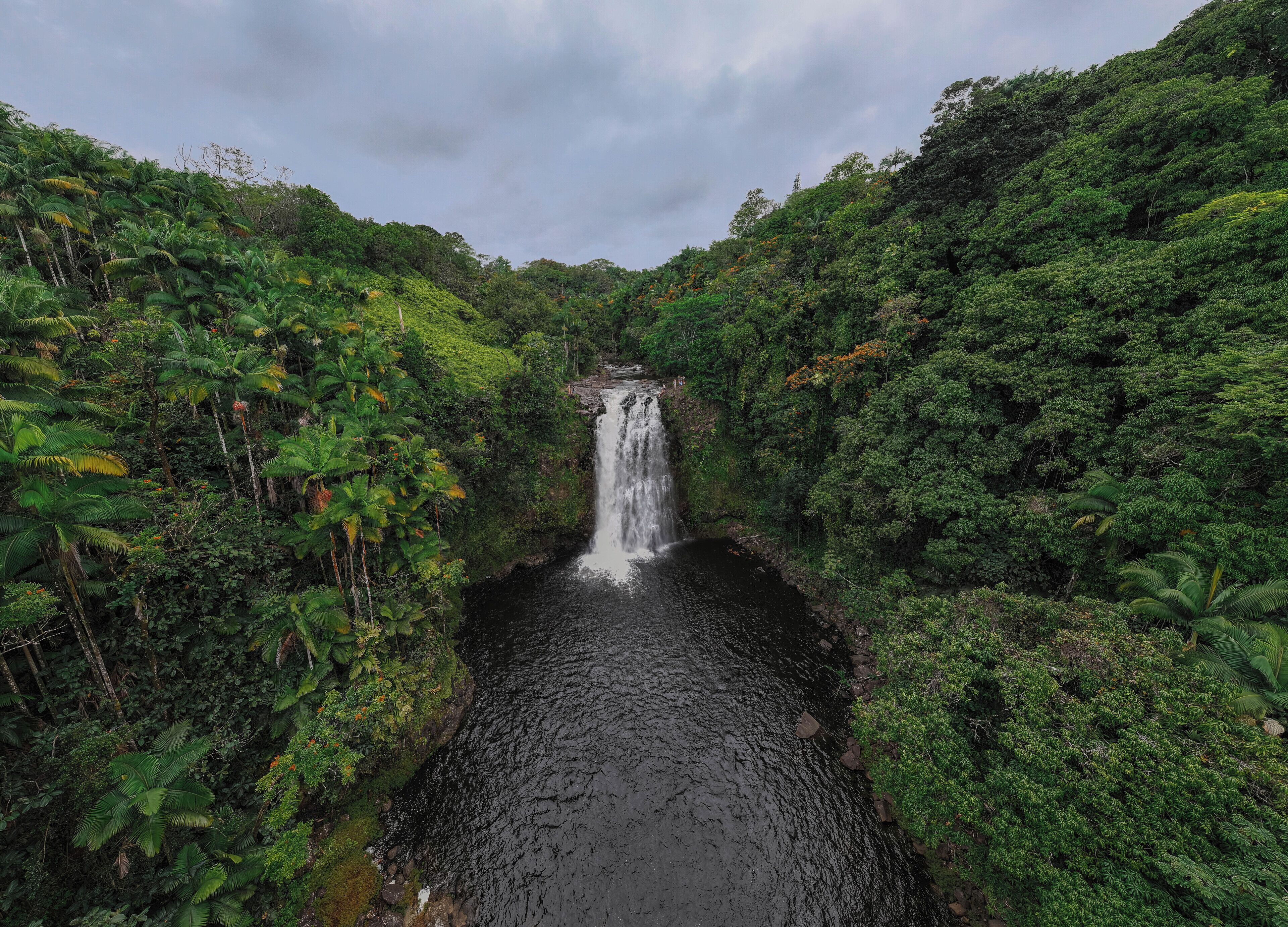 A waterfall surrounded by dense tropical vegetation.