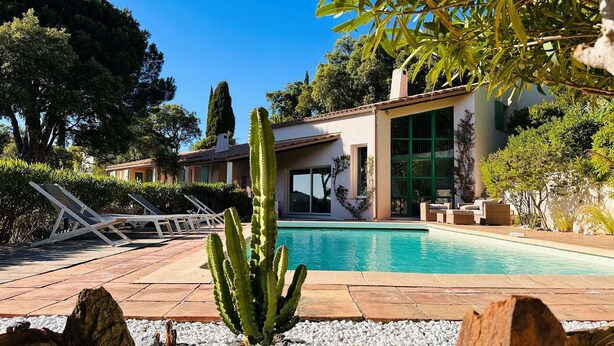 Ein Pool mit Kaktus, Liegestühlen und einem Gebäude mit großen Fenstern.