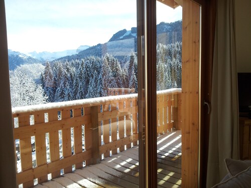 Morillon 1100, T3 sur les Pistes, Récent