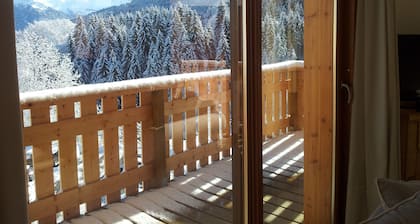 Morillon 1100, T3 sur les Pistes, Récent