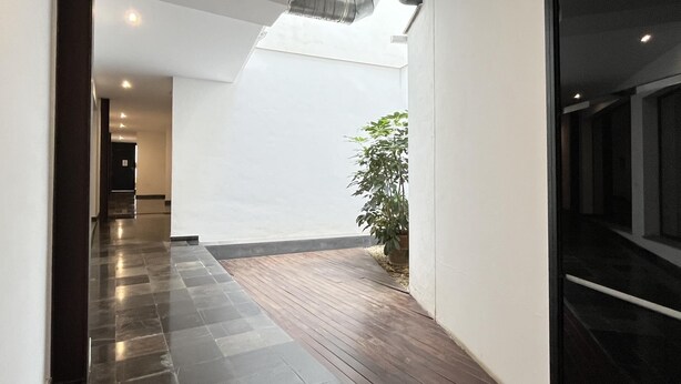Un couloir moderne avec un plancher en bois, une plante en pot et une lucarne.