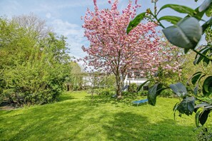 A garden with a tree in full bloom, a grassy lawn, and a blue object on the ground. - Apartment 'Ferienhaus 'kiek Op De Beek'' with Shared Garden, Balcony and Wi-Fi (Langballig)