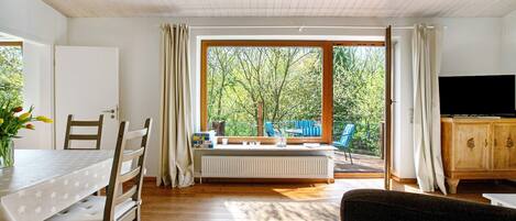 Televisio, DVD-soitin, stereot