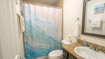 Hair dryer, bidet, towels, soap