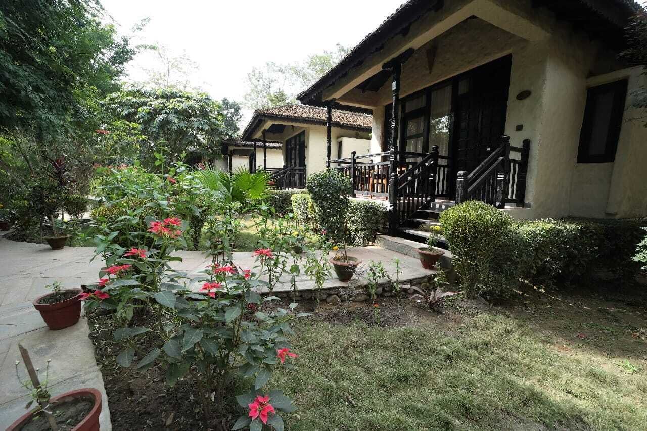 A traditional building with a porch and steps, surrounded by a garden with various plants and flowers.