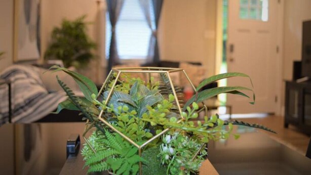 A hexagonal planter with green plants on a wooden table in a room with a couch and a door in the background.
