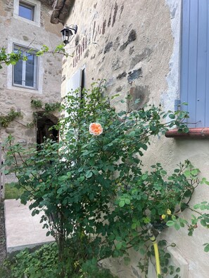 Détail de l’extérieur