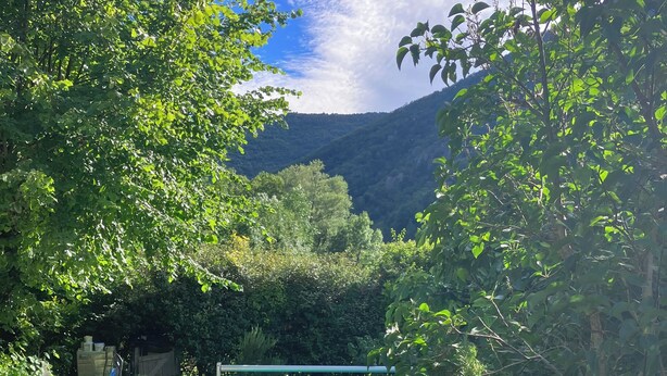 Una piscina rodeada de exuberante vegetación y un telón de fondo montañoso.