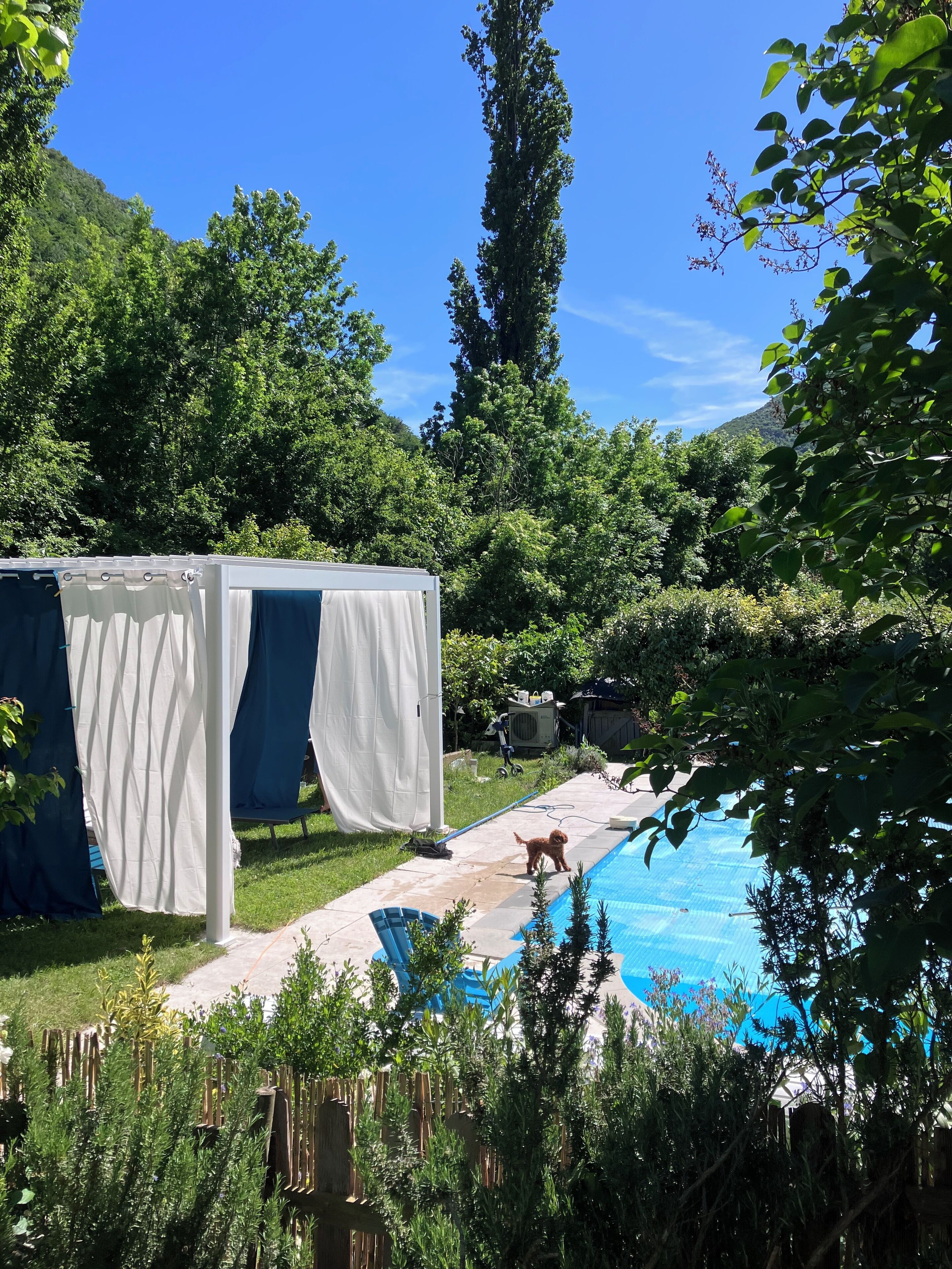 Ein Garten mit Pool, einem überdachten Pavillon und einem Hund.
