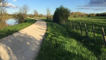 A gravel path beside a river with grassy fields and trees.