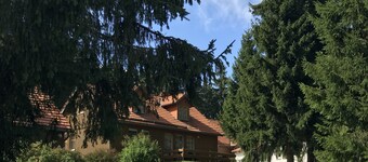 Gemütliche Ferienwohnung direkt am Rennsteig. Fewo mit Kamin und Terrasse